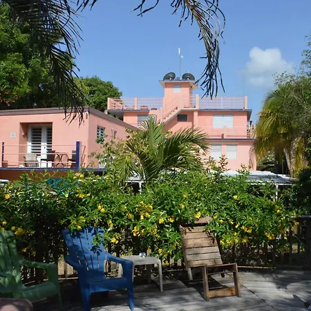 Esperanza Inn Guesthouse (Adults Only)-3